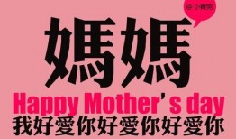 小故事爆料感人视频,视频见证真挚情感